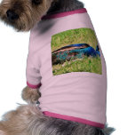 Blue Male Peacock pet clothing