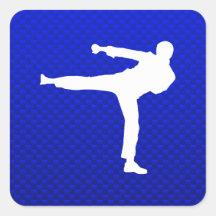 Blue Martial Arts Stickers