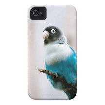 Blue Masked Lovebird iPhone 4 Case