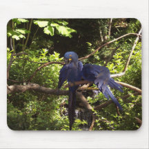 Blue McCaws Mousepad