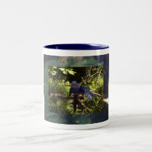Blue McCaws Mug