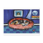 Blue Merle Australian Shepherd in bed Post Card
