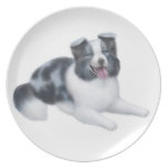 Blue Merle Border Collie Dog Plate