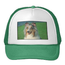 Blue Merle Collie Hats