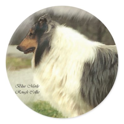 Blue Merle Rough Collie Art Gifts Round Stickers by DogsByDezign