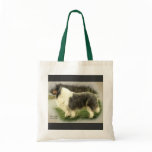 Blue Merle Rough Collie Art Gifts Tote bags
