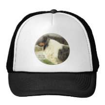 Blue Merle Rough Collie Gifts Mesh Hat