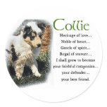 Blue Merle Rough Collie Gifts Sticker