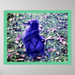 Blue Monkey Poster posters
