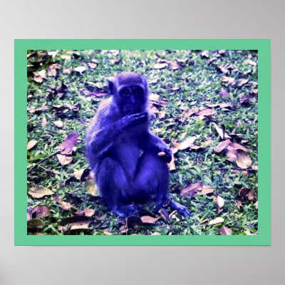 Blue Monkey Poster by persimew