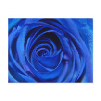 Blue Moon Post Cards