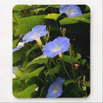 Blue Morning Glories mousepads