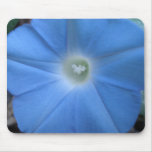 Blue Morning Glory Mouse Pads