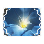 Blue Morning Glory Postcard