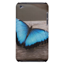 Blue Morpho Butterfly Barely There iPod Case
