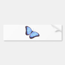 Blue morpho butterfly bumper sticker