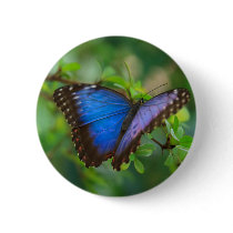 Blue Morpho Butterfly Button