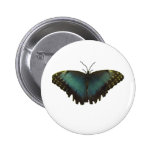 Blue Morpho Butterfly Button