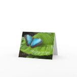 Blue Morpho Butterfly Card