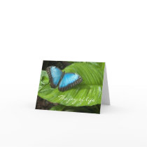 Blue Morpho Butterfly Card