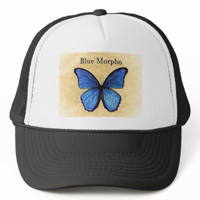 Blue Morpho Butterfly Trucker Hat by Boehm_graphics
