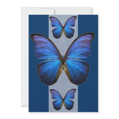 Blue Morpho Butterfly Invitations by Butterfly_n_Flowers