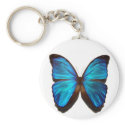 Blue Morpho Butterfly keychains