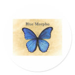 Blue Morpho Butterfly stickers