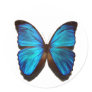 Blue Morpho Butterfly Stickers