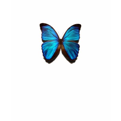 Blue Morpho butterfly T-shirt by sexycher