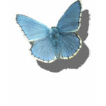 blue moth.psd t-shirts