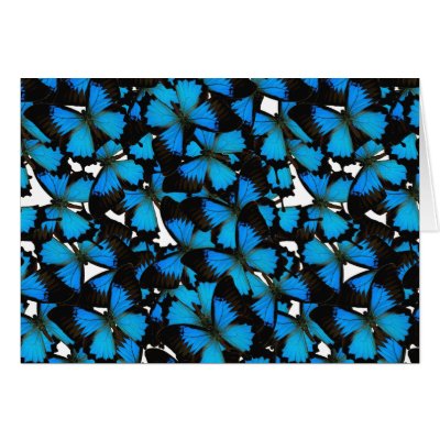 Blue Mountain Swallowtail Card by thenaturalgift