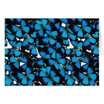 Blue Mountain Swallowtail Card