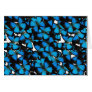 Blue Mountain Swallowtail Card