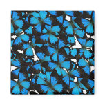 Blue Mountain Swallowtail Fridge Magnets