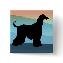 Blue Mountains Afghan Hound