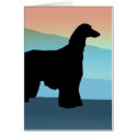 Blue Mountains Afghan Hound cards