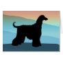 Blue Mountains Afghan Hound