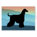 Blue Mountains Afghan Hound cards