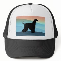 Blue Mountains Afghan Hound