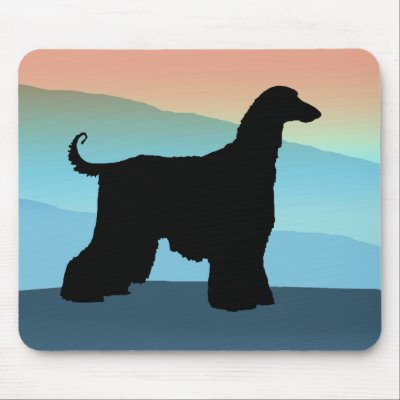 Blue Mountains Afghan Hound by dogsandhorses