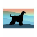 Blue Mountains Afghan Hound t-shirts