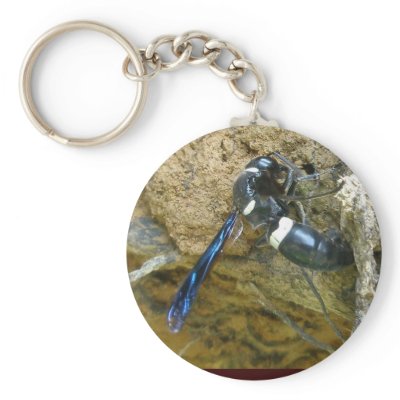 Blue Mud Dauber Wasp Keychains by CarolsCamera