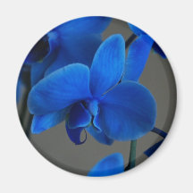 Blue Mystique Refrigerator Magnets