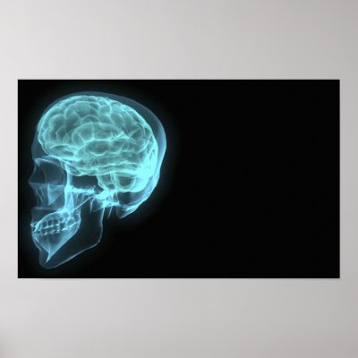Blue Neon Side View X-ray Skull on Black by VoXeeD