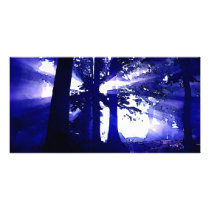 Blue Night Trees Photo Cards