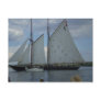 Blue Nose Postcard