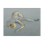 Blue Nude Post Card