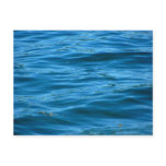 Blue Ocean Water
