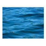 Blue Ocean Water Postcard